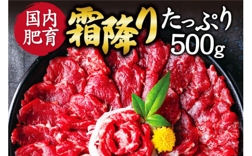 【ふるさと納税】 熊本馬刺し 霜降りたっぷり500g （50g×10パック） 専用醤油付き