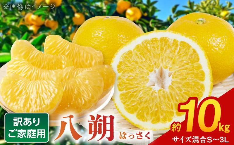 BB6061_和歌山由良町産 はっさく 約10kg (訳あり)(ご家庭用) サイズ混合 (S～3L)