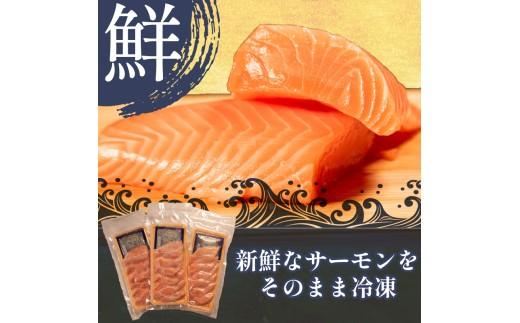 サーモン 漬け丼 11食 漬け丼 海鮮丼 鮭 さけ サケ シャケ おすすめ ふるさと 海鮮食品 魚介類 水産加工品 魚介 ランキング 贈答用 ギフト 海の幸 サーモン 発送時期 小分け 一人暮らし 冷