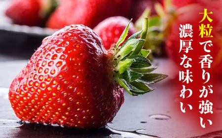 【2024年1月下旬より順次発送】農家直送 朝採り新鮮いちご【博多あまおう】約270g×2＜株式会社H&Futures＞ 那珂川市 いちご フルーツ くだもの 果物 あまおう 九州産 苺 国産  80