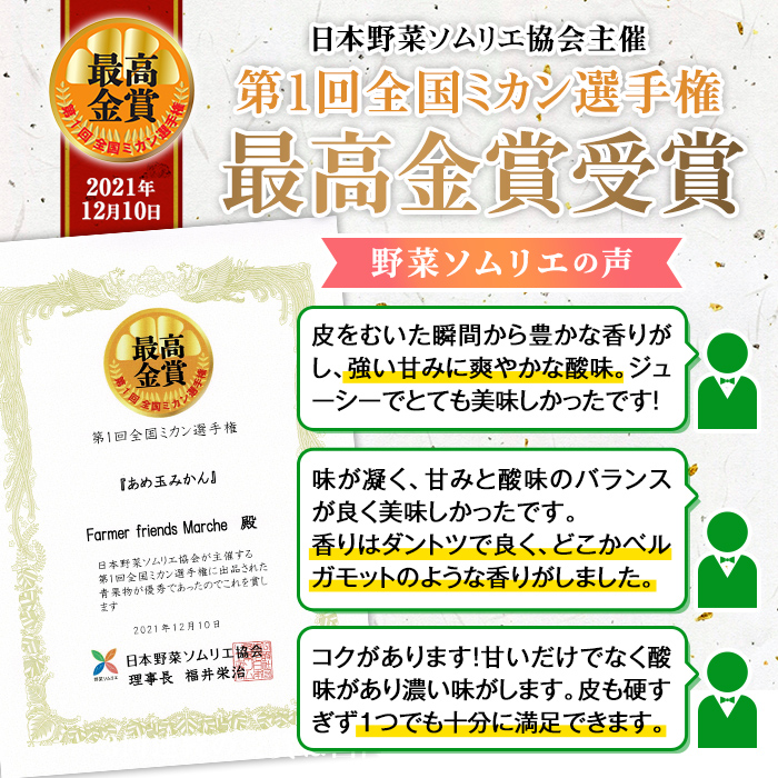 i1059-B ＜先行予約受付中！2025年11月中旬～2026年1月下旬の間に発送予定＞【特別栽培・最高金賞】温州みかん日本一！濃甘あめ玉みかん～プレミアム 極み～(約2kg・Mサイズ) みかん 蜜