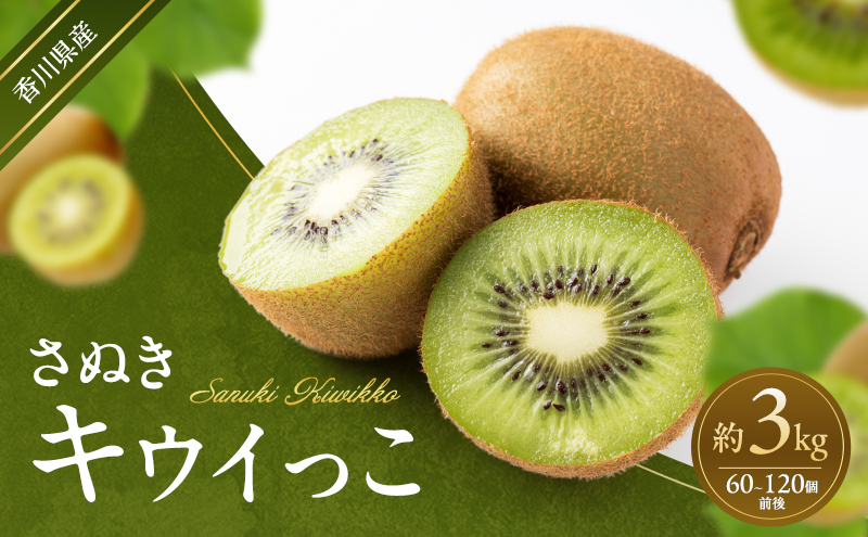 さぬきキウイっこ 約3kg キウイ キウイフルーツ フルーツ 果物 くだもの 果実 旬の果物 旬のフルーツ 香川 香川県 東かがわ市
