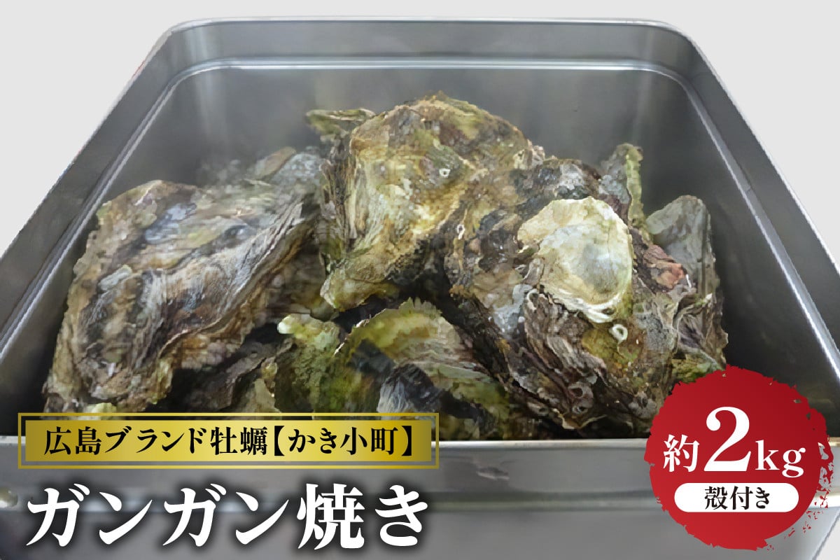 
            【選べる配送時期】丸十水産 広島ブランド牡蠣 かき小町 ガンガン焼き 約2kg (10～14個)
          