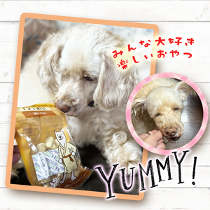 チョイあげ チキンハワイ 30パック 1袋50ｇ 30P わんちゃんのおやつ ペット用 おやつ ごほうび しつけ ペットフード トリーツ