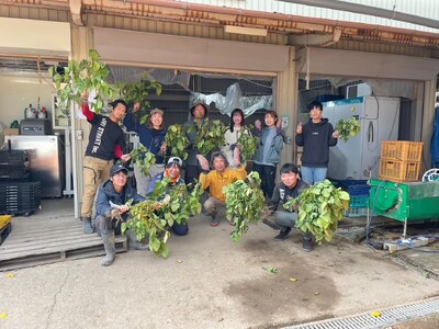 秋の味覚「丹波黒枝豆」  爽やかな旨味・500g×8袋　【１０月１４～２１日頃お届け予定】 CU10 プレミアム枝豆 日本三大枝豆　丹波篠山黒枝豆 大粒 丹波 黒豆 丹波黒 黒大豆 濃厚 美味しい 旬