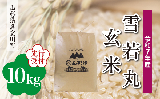 
            ＜令和7年産米先行受付＞ 真室川町産 雪若丸 【玄米】 10kg （10kg×1袋）＜配送時期指定可＞
          