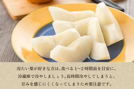 【2025年先行予約】新潟県産 和梨 新興 2kg 【秀品】《10月下旬から順次出荷》 しんこう なし 果物 フルーツ デザート ジューシー シャキシャキ 加茂市 塩原久七農園