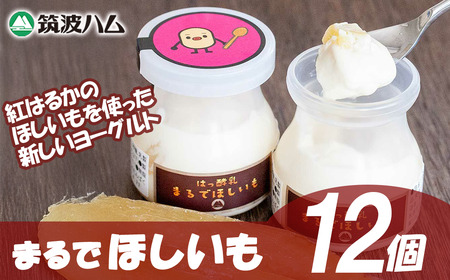 【筑波ハム】まるでほしいも×3個セット4箱【 ヨーグルト ヨーグルト ヨーグルト ヨーグルト ヨーグルト 】