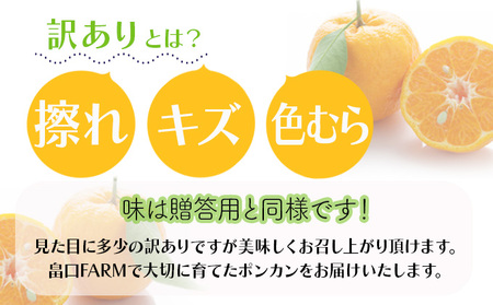 【先行予約】訳ありポンカン＜10kg＞　HT12 [H-04] 【畠口FARM（畠口　佳養）】