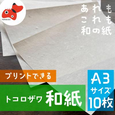ふるさと納税 柳津町 【日本の文化を応援!】柳津の伝統和紙「野老沢和紙」【A3サイズ×10枚セット】