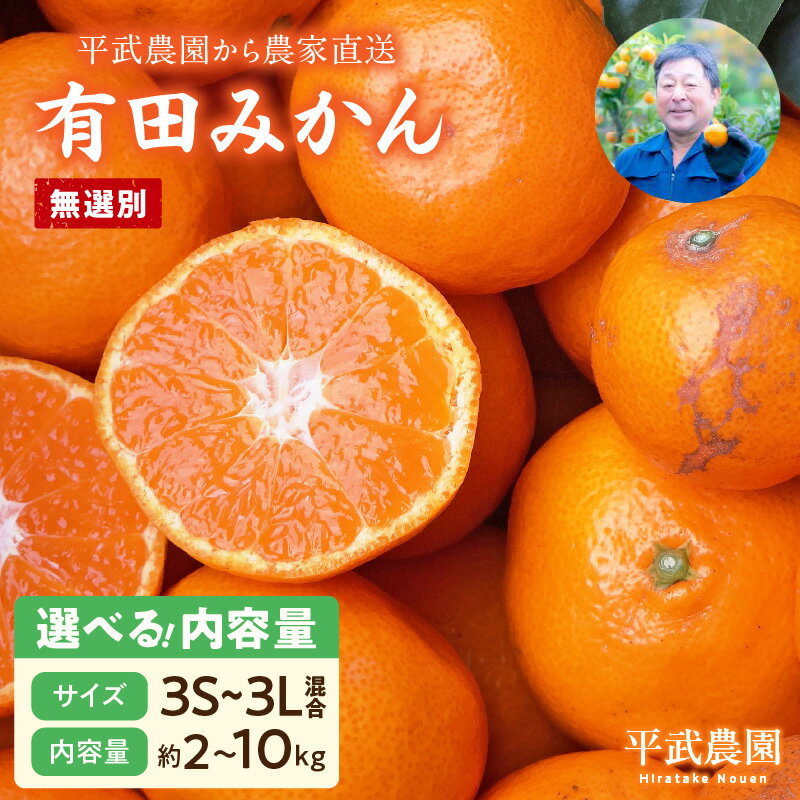 【ふるさと納税】【平武農園より農家直送！】 有田みかん 無選別 3S ～3L 選べる 内容量 2kg ～ 10kg 秀品 訳あり サイズ混合 ミカン 柑橘 フルーツ 温州みかん 濃い 甘さ 酸味 濃厚 農家直送 こだわり 和歌山 有田 田口みかん 田口地区 和歌山県 湯浅町 送料無料