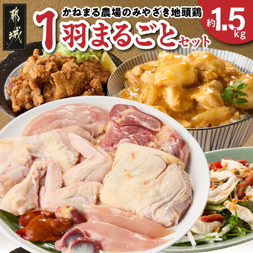 【ふるさと納税】かねまる農場のみやざき地頭鶏1羽まるごとセット - みやざき地頭鶏 地鶏 モモ肉 ムネ肉 ササミ 手羽先 手羽元 砂肝 レバー 平飼い じどっこ 鶏ガラ付き 真空パックで新鮮 8部位 おつまみ 送料無料 17-J7-009 【宮崎県都城市は2年連続ふるさと納税日本一！】