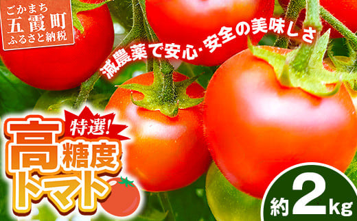 山中トマト農園がお届けする！五霞町の特選 高糖度トマト 2箱（約2kg）／ 完熟 甘い 減農薬 こだわり 贈り物 エクセレントトマト 中玉トマト 野菜 とまと 茨城県 五霞町