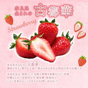 冷凍いちご（古都華）1ｋｇ【mbi01】