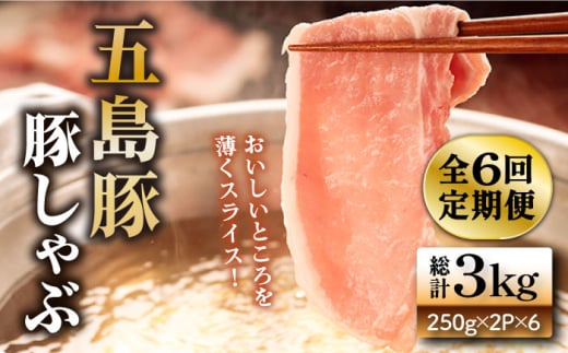 【6回定期便】【しゃぶしゃぶ】五島豚の豚しゃぶ500g（250g×2P）[PBF022] しゃぶしゃぶ しゃぶしゃぶ豚肉 国産しゃぶしゃぶ 五島 肉