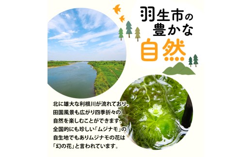 レモンペッパー焼オイルソース 700g × 12個 爽やか レモン ソース 業務用 鶏肉 チキンソテー 魚介 白身魚 から揚げ 焼き魚  調理用ソース 大容量 創味食品 埼玉県 羽生市