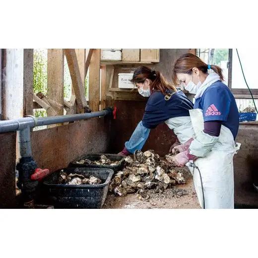 牡蠣 【 九十九島 】 牡蠣 3.5kg 産地直送 カキ A164