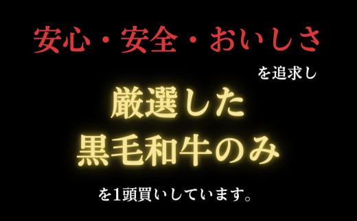 赤身 焼肉 国産 黒毛和牛 牛肉 約600g 冷凍 焼き肉 阿波牛 マル イチボ クリ カメノコ トウガラシ バーベキュー BBQ 