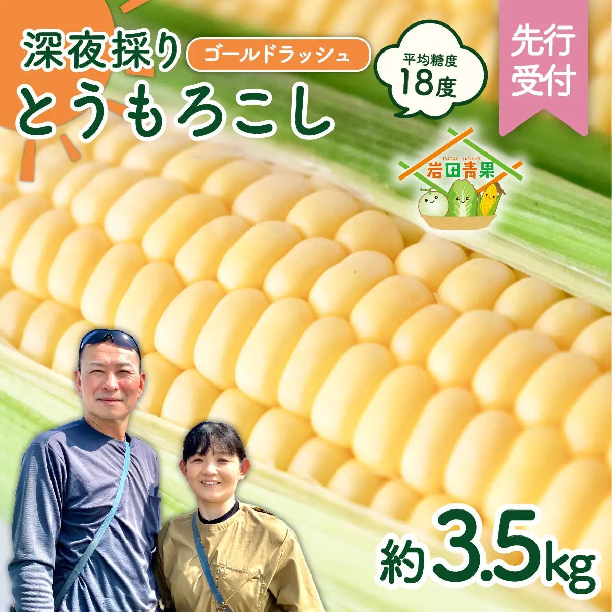 とうもろこし ゴールドラッシュ 3.5kg 茨城県産 トウモロコシ 深夜採り 朝出荷
