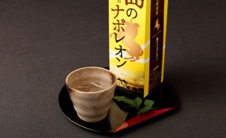 【定期便年3回】黒糖焼酎 島のナポレオン 1800ml×3本セット 計9本 パック A-13
