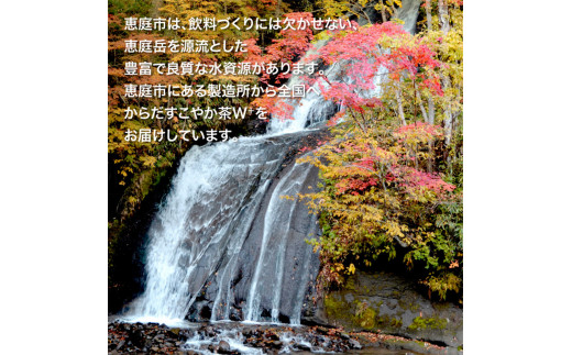 【定期便：11回（隔週発送）】からだすこやか茶W+ 350ml×24本