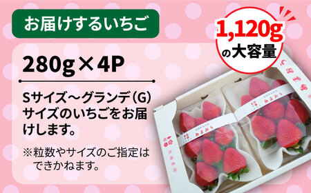 【先行予約受付中・2024年1月下旬より順次発送】【農家直送！】 糸島産 あまおう 280g × 4パック (GおよびSサイズ) 糸島市 / 後藤農園 [AML003] いちご 苺 イチゴ あまおう 