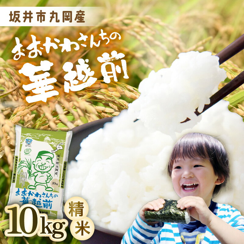 【ふるさと納税】数量限定 おおかわさんちの華越前 10kg (なくなり次第終了)【令和7年産】【お米 こめ ハナエチゼン 10キロ 白米 精米 ご飯 ごはん 美味しい ふるさと納税米】