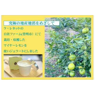 【ふるさと納税】はちみつレモンシャーベット 90ml×6個【配送不可地域：離島】【1635821】