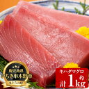 【ふるさと納税】天然キハダマグロ(約1kg)柵でお届け！肉厚のお刺身や海鮮丼に！まぐろ 鮪 魚介 刺し身【海鮮まぐろ家】