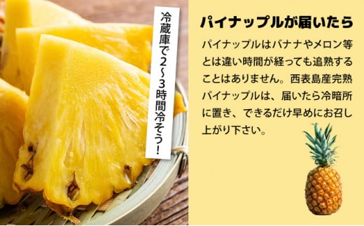 【2026年発送】ゴールドバレルビッグな２玉セット