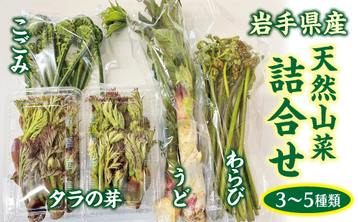 
                  【先行予約】 【４月下旬頃～発送予定】 天然の山菜セット ３～５種類 たらのめ しどけ わらび こごみ 山うど ミックス 数量限定
                