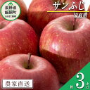 【ふるさと納税】 りんご サンふじ 家庭用 3kg 沖縄県への配送不可 令和6年度収穫分 信州の環境にやさしい農産物認証 減農薬栽培 静谷りんご園 長野県 飯綱町 〔 果物 フルーツ 信州 リンゴ 林檎 長野 9000円 予約 農家直送 〕発送期間：2024年12月中旬～2024年12月下旬