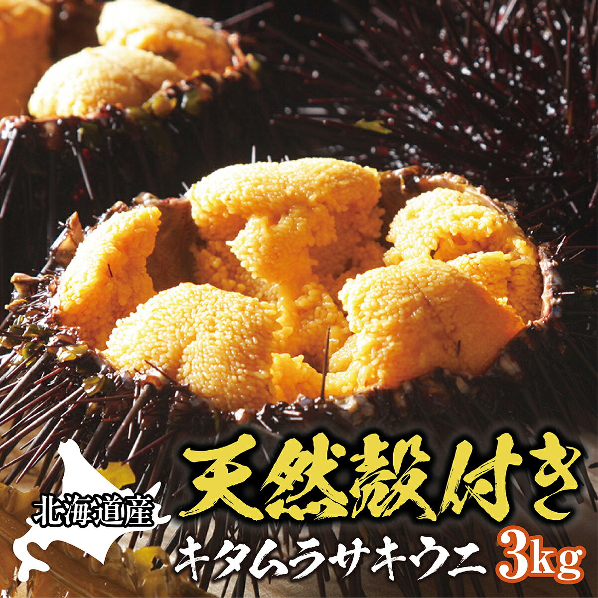 【ふるさと納税】天然殻付きキタムラサキウニ 3kg(2025年6月以降順次発送) MATB013