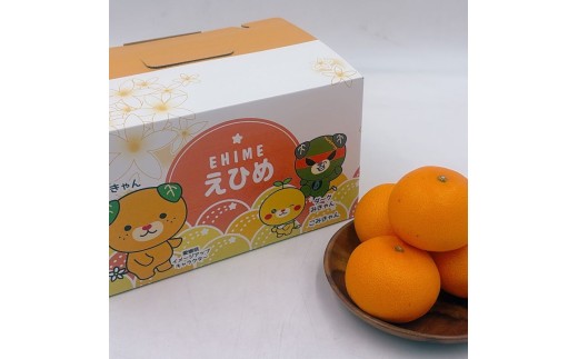 【全3回】愛媛の離島「中島」産柑橘定期便 2.5kg | 甘平  せとか カラマンダリン  みかん フジ・アグリフーズ 春みかん 愛媛蜜柑 愛媛ミカン みかん ミカン mikan 蜜柑 柑橘 フルーツ