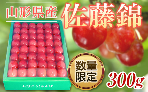 《先行予約 2026年度発送》無加温♪山形さくらんぼ佐藤錦L300g手詰【5月中旬～6月上旬発送】 FSY-0419