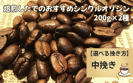 No.170-03 焙煎したてのおすすめシングルオリジン 200g×2種（中挽き）