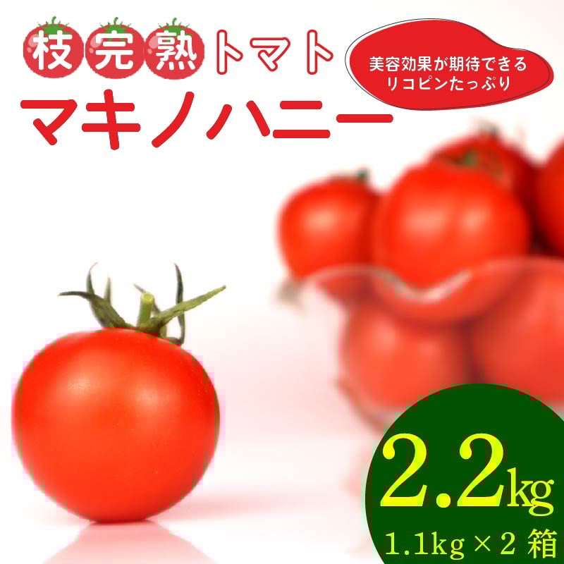 
            トマト 中玉 2.2kg 以上 マキノハニー 枝完熟 トマト トマトップ 高 リコピン うまみ 甘い 新鮮 野菜 産地直送 やさい ビタミン 静岡県 牧之原市 まるごと 甘味 うまみ 甘い 新鮮 野菜 産地直送 やさい ビタミン おすすめ 人気 送料無料 冷凍トマト 果物 フルーツ くだもの やさい 日常 普段使い サラダ 産地直送 栄養 健康 美容 夏 夏バテ 予防 熱中症対策 熱中症予防 
          