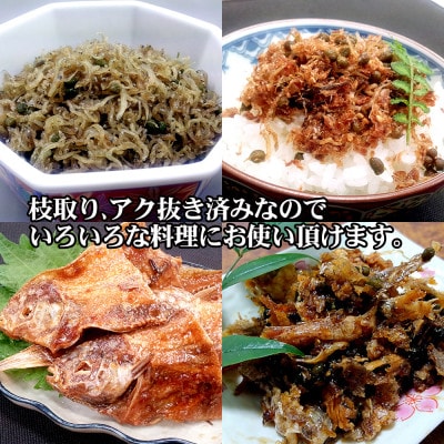 兵庫県養父市産 冷凍朝倉山椒 500g【配送不可地域：離島】