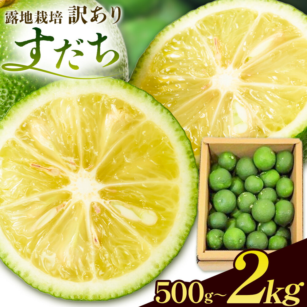 【ふるさと納税】数量限定 生産量日本一徳島県産 訳あり すだち B級 露地栽培 500g or 1kg or 2kg 一般財団法人さなごうち 《9月中旬-11月上旬頃に出荷予定(土日祝除く)》徳島 すだち ぶり 刺身 スダチ 露地 魚 豆腐 冷奴 焼き魚 天ぷら 刺身 徳島県 佐那河内村 5000円以下