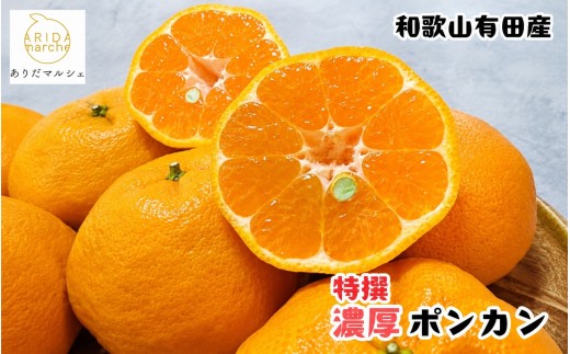 
                  【先行予約】極甘 柑橘 特撰 濃厚 ポンカン 3kg+200g(痛み補償分) ※2027年1月上旬～3月上旬に順次発送予定 ※着日指定不可【ard243A】
                