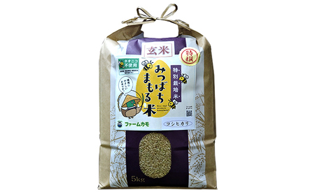 【定期便3回】雄踏ファームカモ産　玄米「特選みつばちまもる米」5kg コシヒカリ（3ヶ月連続・合計15kg）