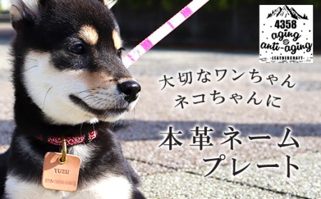 本革 ペット用 ネームプレート 【ナチュラル】 ／ 4358 名前 電話番号 刻印 シンプル 犬 猫 ペット ネームプレート ネームタグ チャーム ペットタグ 迷子札 名札 いぬ イヌ ねこ ネコ ドッグタグ 迷子防止 キーホルダー