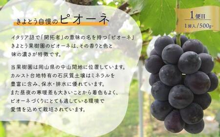 【2026年先行予約】気になる葡萄を試したい！ピオーネ・シャインマスカット・紫苑の3回便(定期便)(岡山県産)【KF-T057-01】