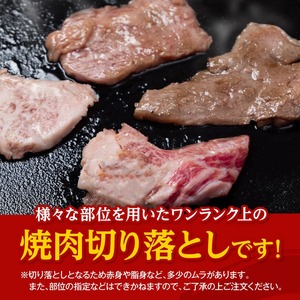 牛肉【数量限定】宮崎県産黒毛和牛焼肉用切り落とし500g 牛肉