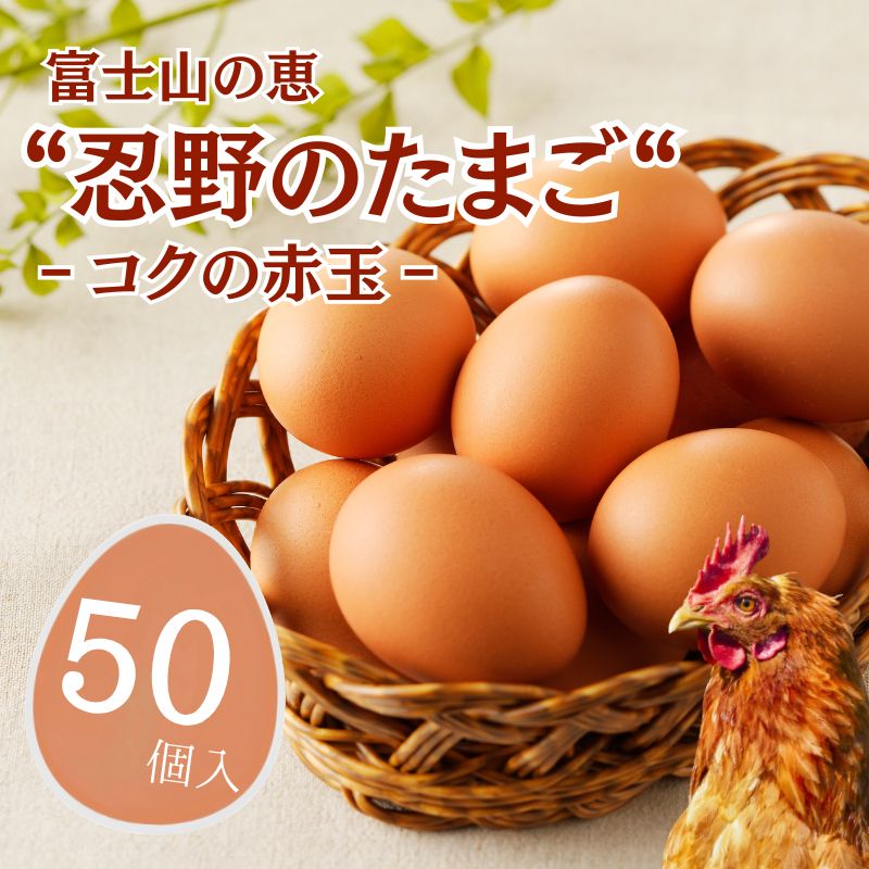 【ふるさと納税】富士山の恵“忍野のたまご“‐コクの赤玉‐50個入　|| 山梨県産 新鮮 たまご たっぷり 卵 たまご 玉子 送料無料 送料込 家庭用 鶏卵 生卵 コク うまみ 濃厚 美味しい 自然豊か のどか 白身 黄身 プリン 安心 元気 栄養満点 安全 こだわり 贈答 贈り物 旨い