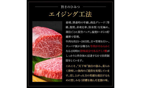 熟成肉 土佐あかうし 土佐和牛2種食べ比べ 特選ヒレ肉サイコロステーキ 約4kg (約500g×各4) 【株式会社LATERAL】 [ATAY100]
