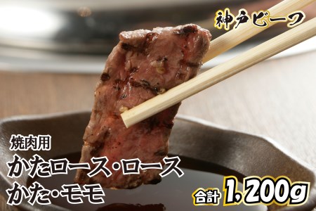 神戸ビーフ 焼肉用セット TKYS5[615] 神戸牛