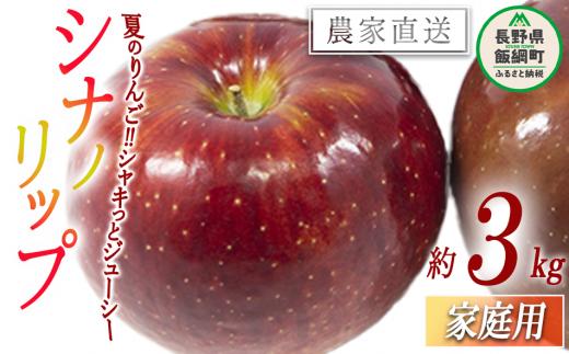りんご シナノリップ 家庭用 3kg 松橋りんご園 沖縄県への配送不可 2026年8月中旬頃から2026年8月下旬頃まで順次発送予定 令和8年度収穫分 フルーツ リンゴ 信州 長野県 飯綱町 [1384]