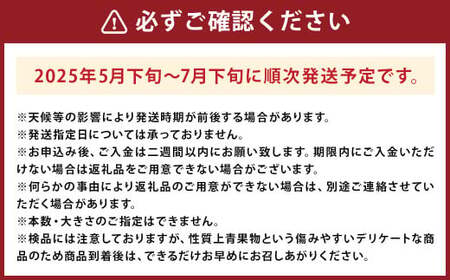 大玉すいか 秀品 1玉 約6kg?9kg 【2025年5月下旬～7月下旬発送予定】