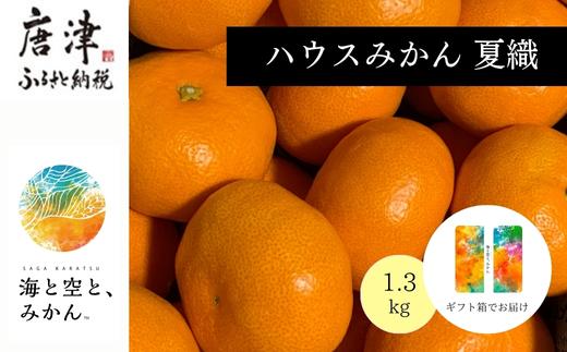 『予約受付』【令和6年6月上旬発送】夏の極上ハウスみかん「夏織」1.3kg  贈答箱・ギフトボックス入り ～海と空と、みかん～ 甘くてとろける夏の果物に ミカン フルーツ 柑橘